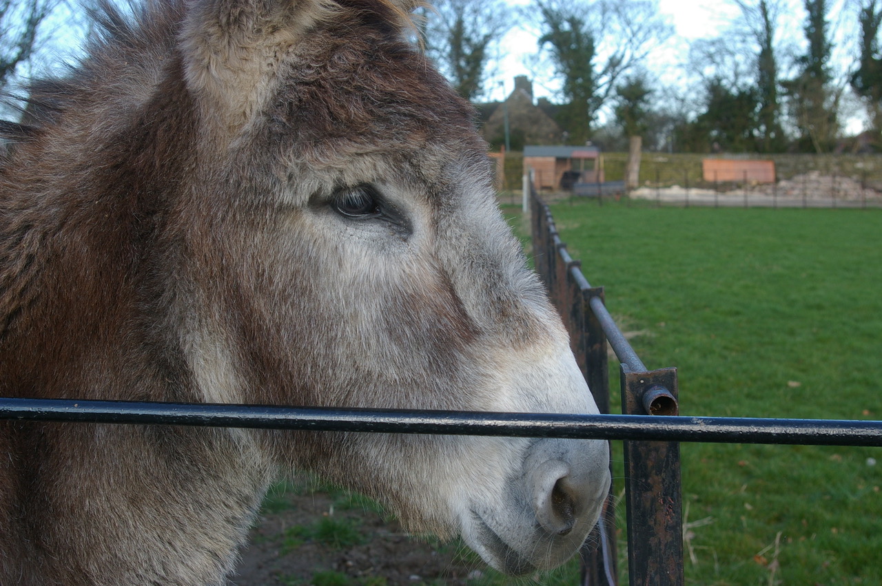 Fwd: Graves Park, Isaac Walker			
					</div><!-- .entry-content -->
		
		<footer>
		
		
		
					
					</footer><!-- .entry-meta -->
	</article><!-- #post -->
				
											
				
		
<hr class=