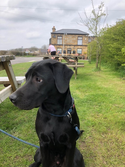 Fwd: Cooper			
					</div><!-- .entry-content -->
		
		<footer>
		
		
		
					
					</footer><!-- .entry-meta -->
	</article><!-- #post -->
				
											
				
		
<hr class=