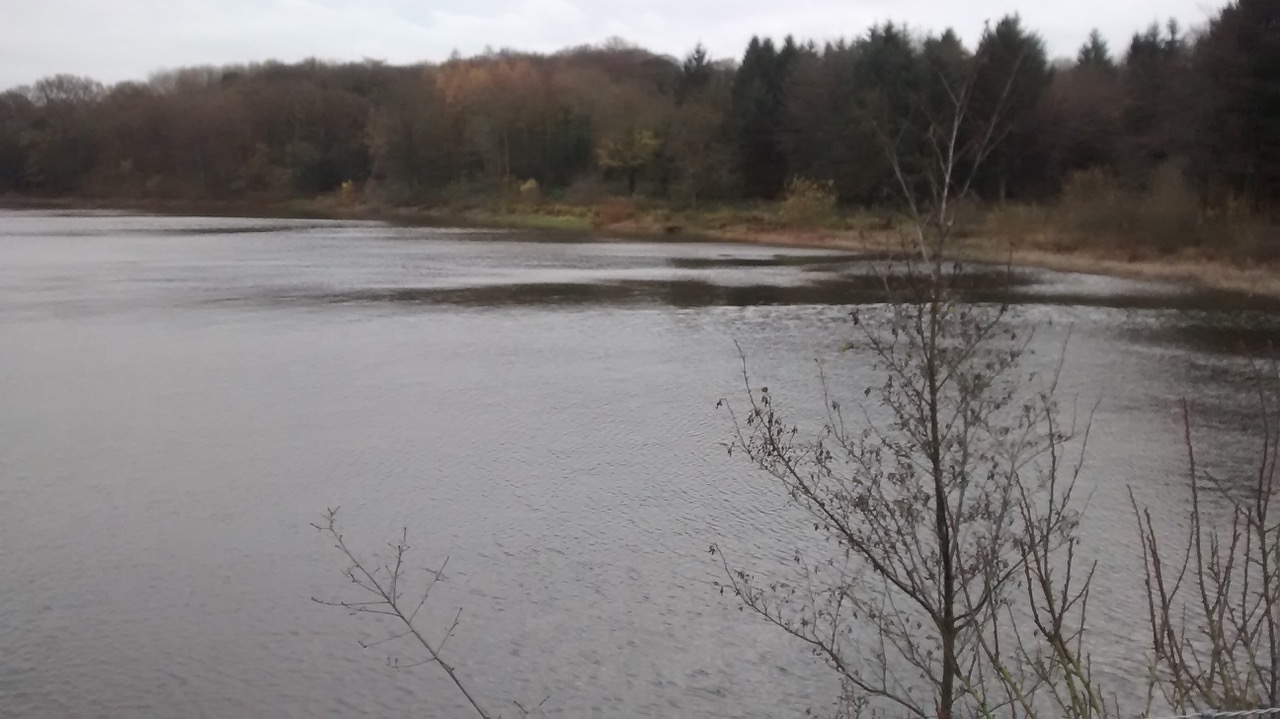 Fwd: Photo by Jon Eaton, Ogston Reservoir			
					</div><!-- .entry-content -->
		
		<footer>
		
		
		
					
					</footer><!-- .entry-meta -->
	</article><!-- #post -->
				
											
				
		
<hr class=