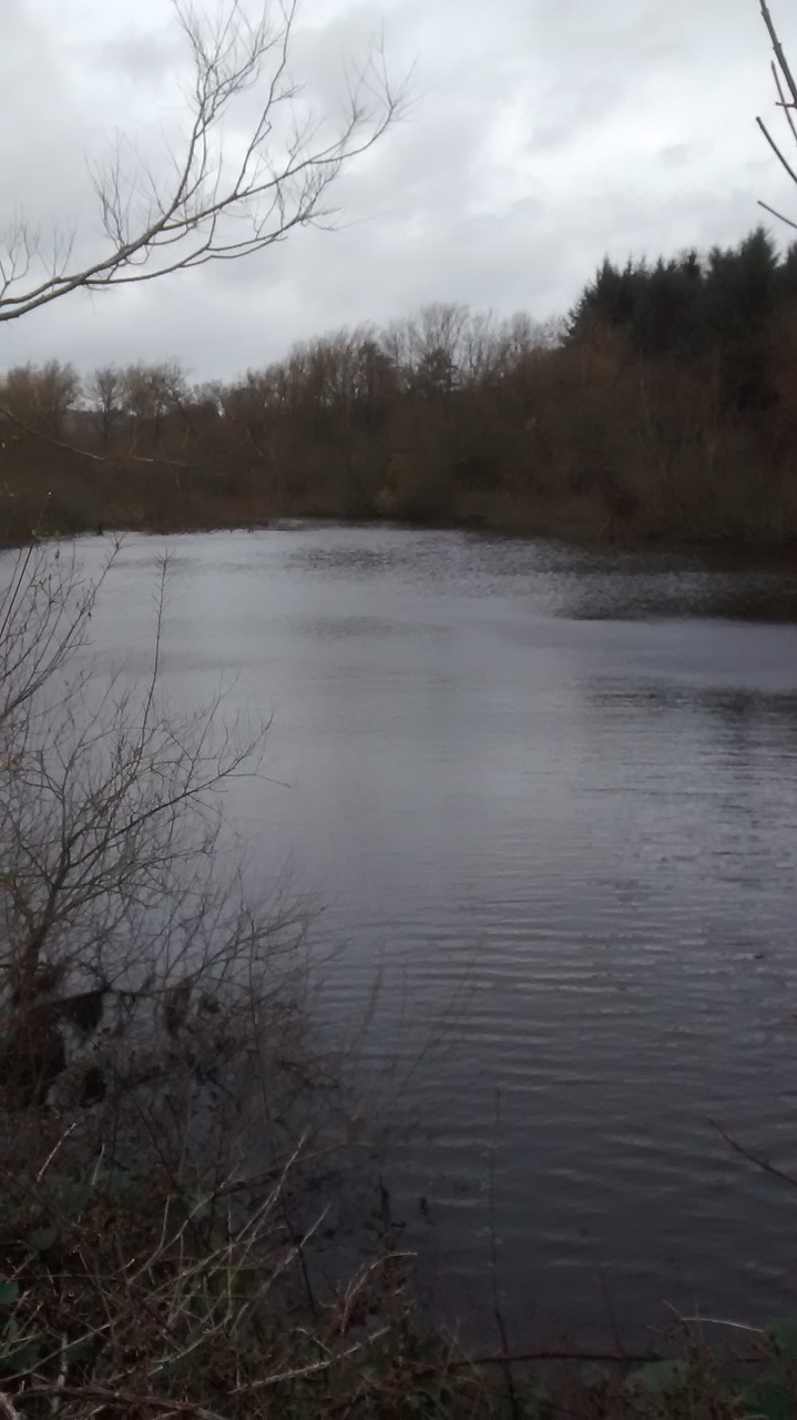 Fwd: Photo by Jon Eaton, Ogston Reservoir			
					</div><!-- .entry-content -->
		
		<footer>
		
		
		
					
					</footer><!-- .entry-meta -->
	</article><!-- #post -->
				
											
				
		
<hr class=