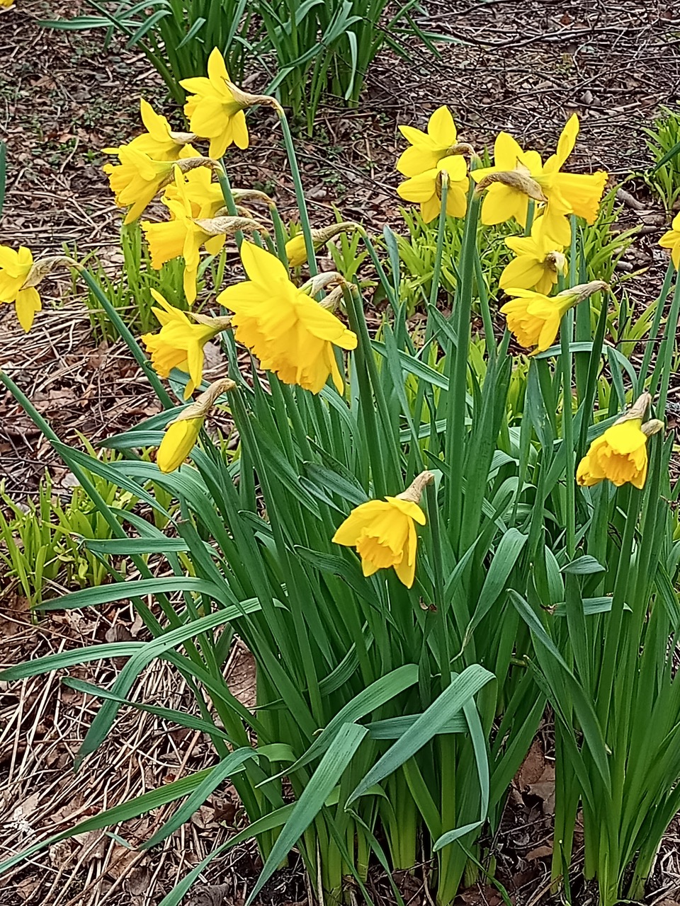 Fwd: By Sarah Bark… Dinnington south Yorkshire			
					</div><!-- .entry-content -->
		
		<footer>
		
		
		
					
					</footer><!-- .entry-meta -->
	</article><!-- #post -->
				
											
				
		
<hr class=