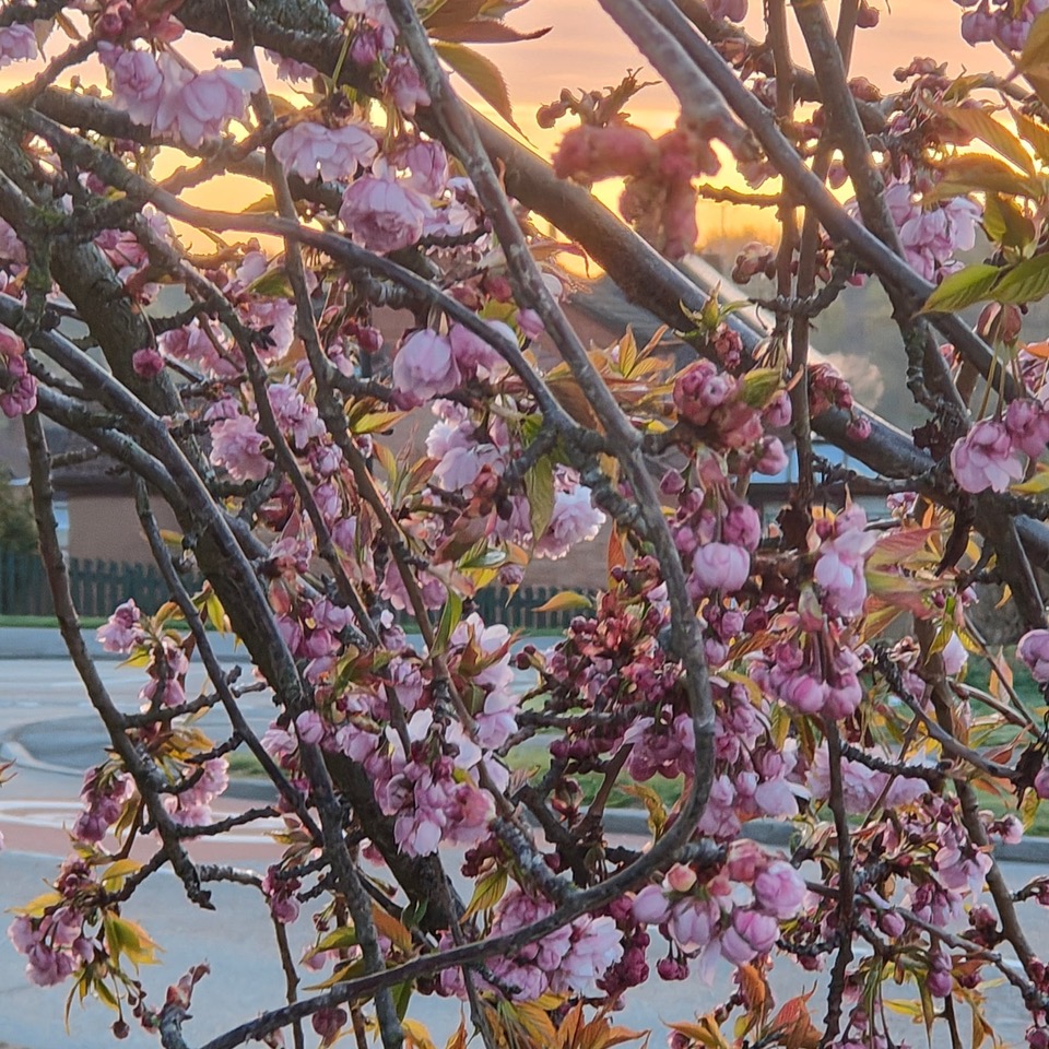 Fwd:			
					</div><!-- .entry-content -->
		
		<footer>
		
		
		
					
					</footer><!-- .entry-meta -->
	</article><!-- #post -->
				
											
				
		
<hr class=