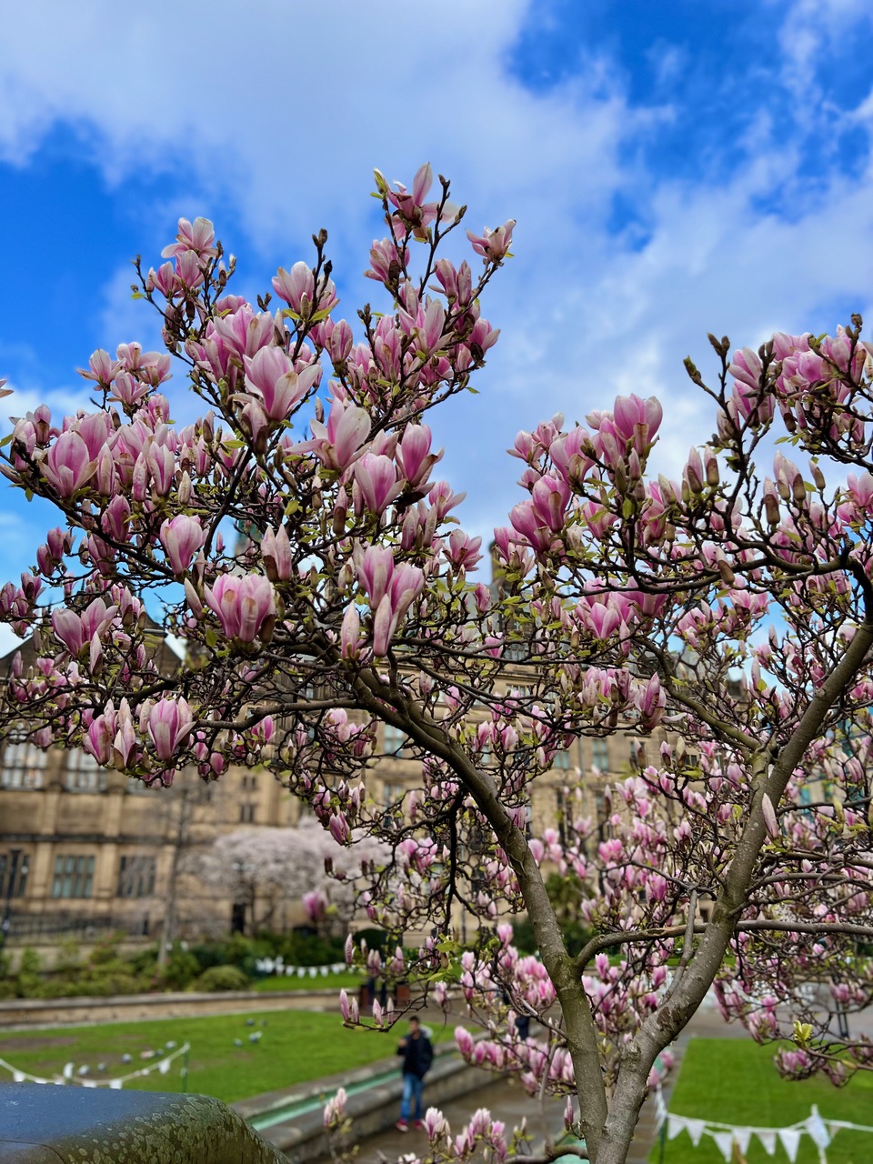 Fwd: pic			
					</div><!-- .entry-content -->
		
		<footer>
		
		
		
					
					</footer><!-- .entry-meta -->
	</article><!-- #post -->
				
											
				
		
<hr class=