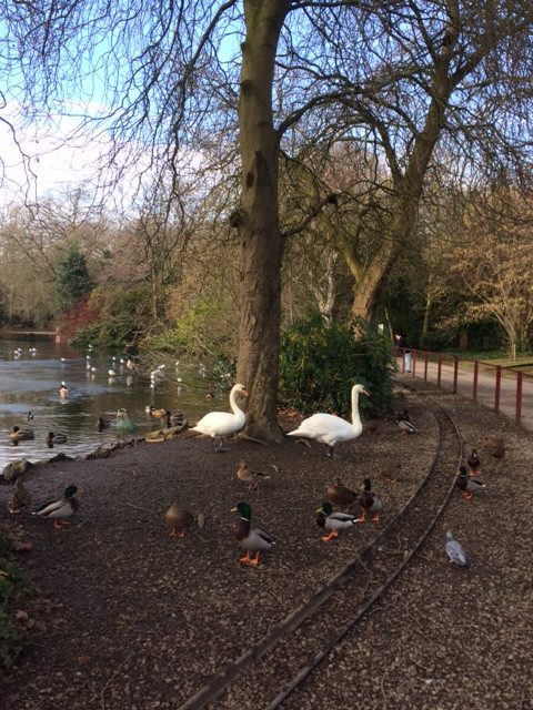 Fwd: Chesterfield Park			
					</div><!-- .entry-content -->
		
		<footer>
		
		
		
					
					</footer><!-- .entry-meta -->
	</article><!-- #post -->
				
											
				
		
<hr class=