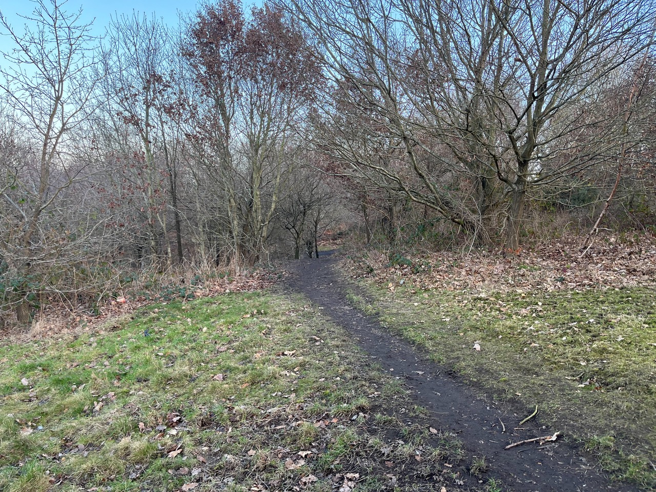Fwd: Silkstone Ravine near Hackenthorpe			
					</div><!-- .entry-content -->
		
		<footer>
		
		
		
					
					</footer><!-- .entry-meta -->
	</article><!-- #post -->
				
											
				
		
<hr class=
