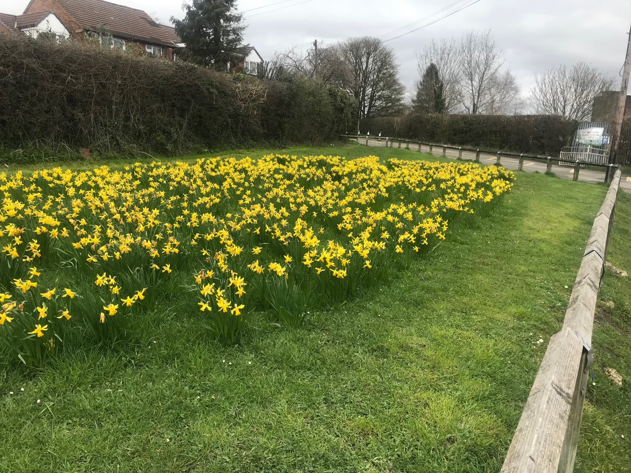 Fwd: Charnock Park			
					</div><!-- .entry-content -->
		
		<footer>
		
		
		
					
					</footer><!-- .entry-meta -->
	</article><!-- #post -->
				
											
				
		
<hr class=