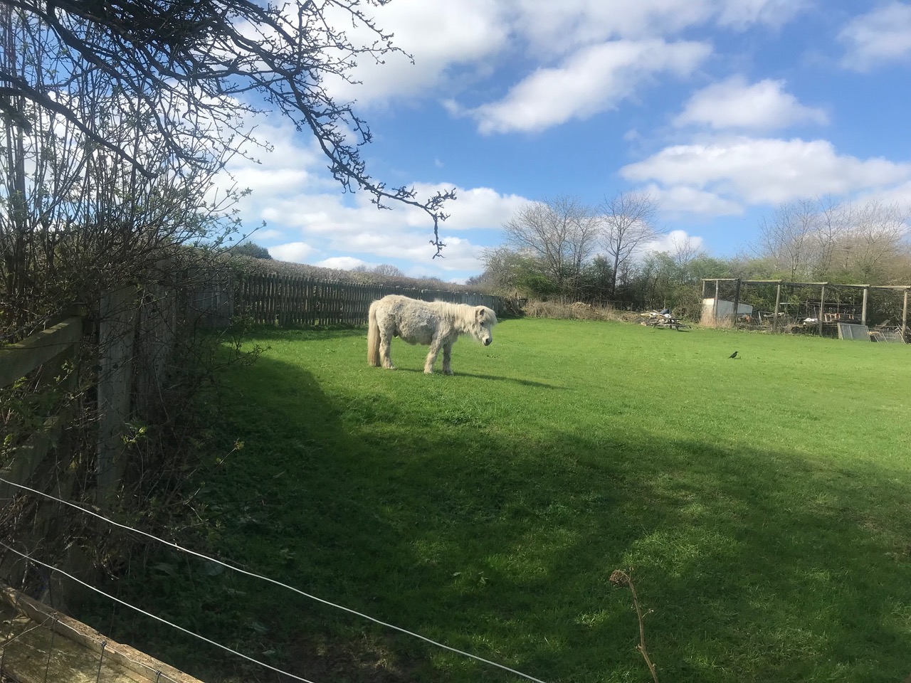 Fwd: Charnock			
					</div><!-- .entry-content -->
		
		<footer>
		
		
		
					
					</footer><!-- .entry-meta -->
	</article><!-- #post -->
				
											
				
		
<hr class=