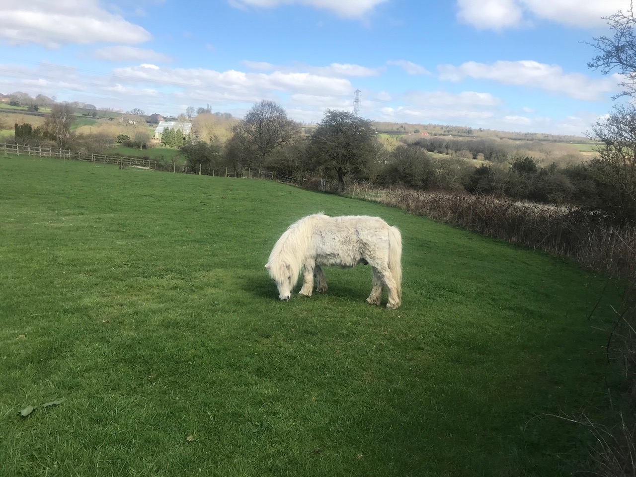 Fwd: Charnock			
					</div><!-- .entry-content -->
		
		<footer>
		
		
		
					
					</footer><!-- .entry-meta -->
	</article><!-- #post -->
				
											
				
		
<hr class=