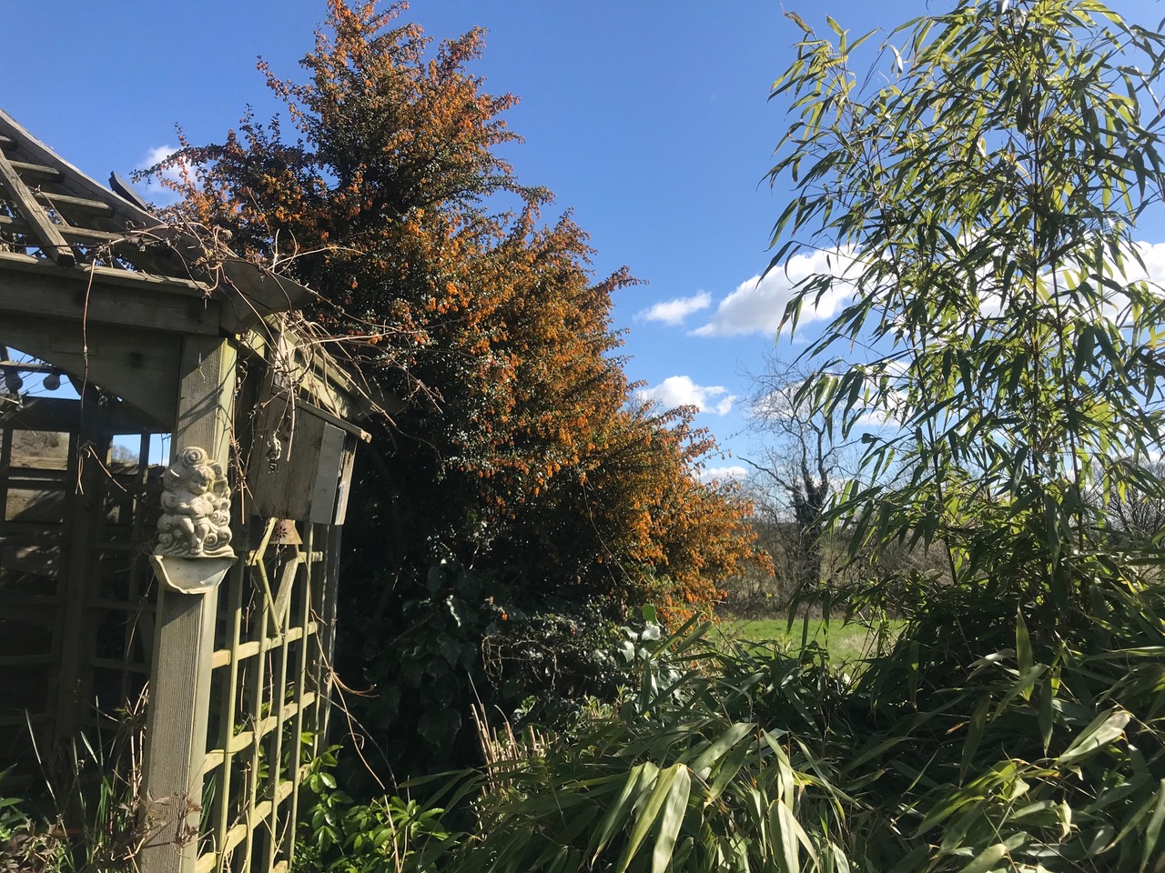 Fwd: Charnock			
					</div><!-- .entry-content -->
		
		<footer>
		
		
		
					
					</footer><!-- .entry-meta -->
	</article><!-- #post -->
				
											
				
		
<hr class=