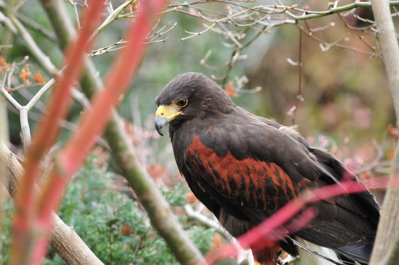 Fwd: Photos just for you			
					</div><!-- .entry-content -->
		
		<footer>
		
		
		
					
					</footer><!-- .entry-meta -->
	</article><!-- #post -->
				
											
				
		
<hr class=