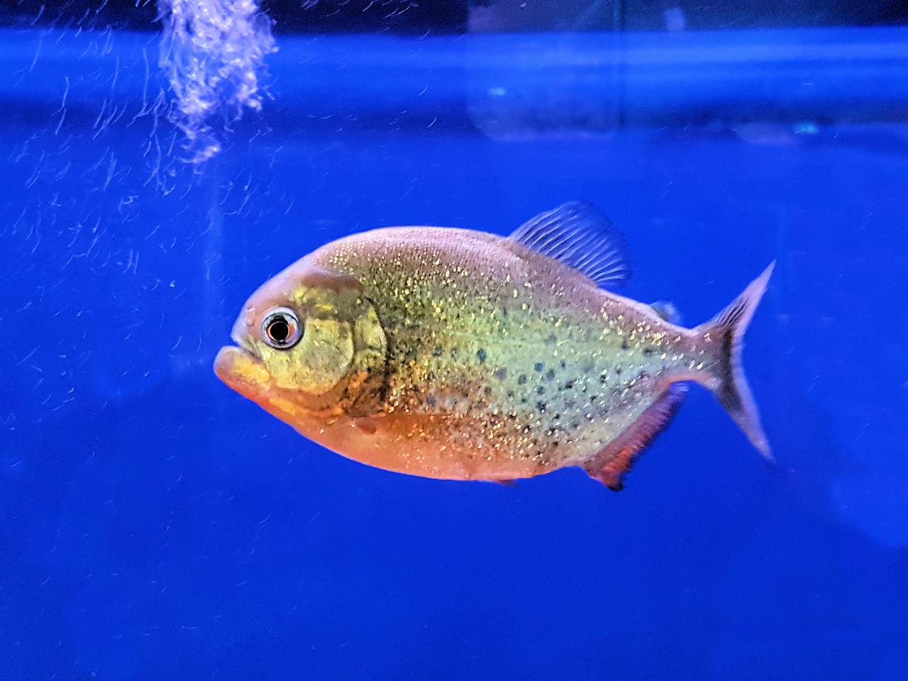 Fwd: Photo			
					</div><!-- .entry-content -->
		
		<footer>
		
		
		
					
					</footer><!-- .entry-meta -->
	</article><!-- #post -->
				
											
				
		
<hr class=