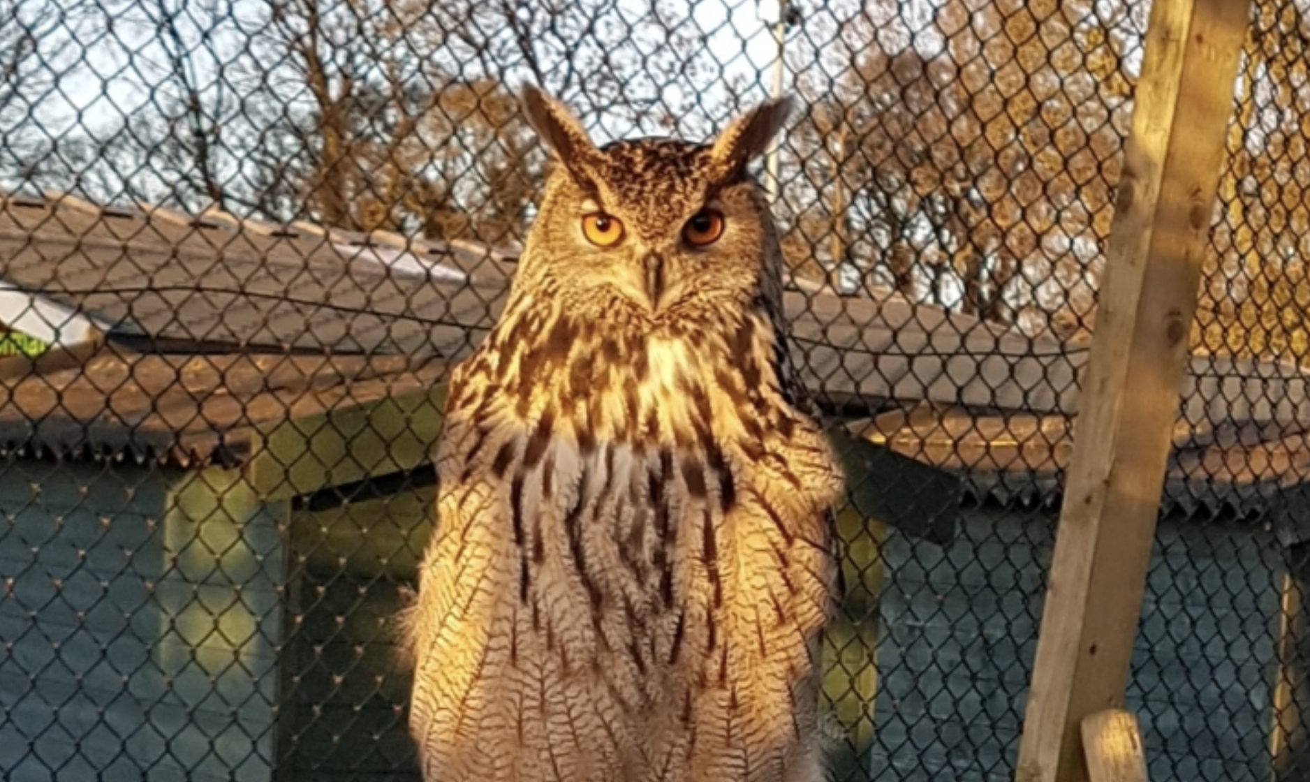 Fwd: Photograph by Pete Allen at Graves Park			
					</div><!-- .entry-content -->
		
		<footer>
		
		
		
					
					</footer><!-- .entry-meta -->
	</article><!-- #post -->
				
											
				
		
<hr class=