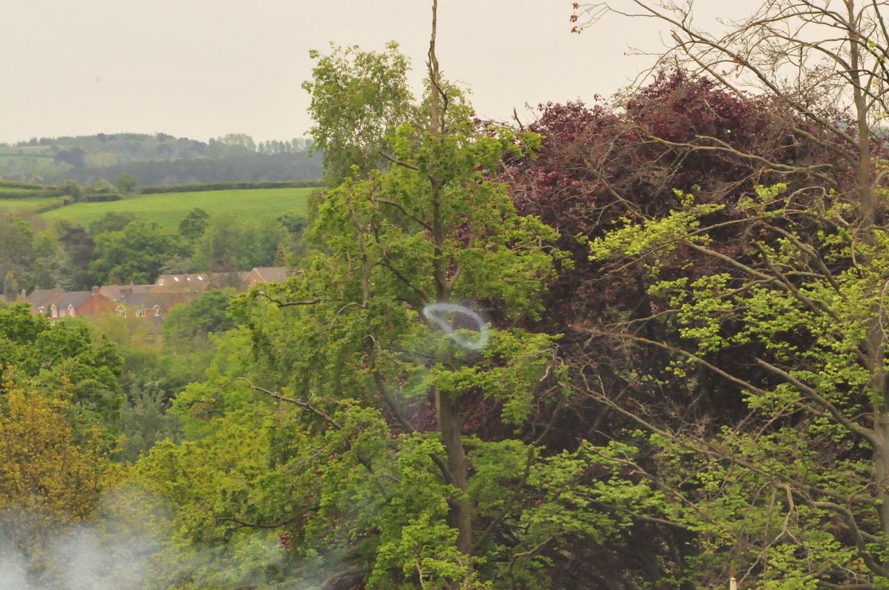 Fwd: Some more photos			
					</div><!-- .entry-content -->
		
		<footer>
		
		
		
					
					</footer><!-- .entry-meta -->
	</article><!-- #post -->
				
											
				
		
<hr class=