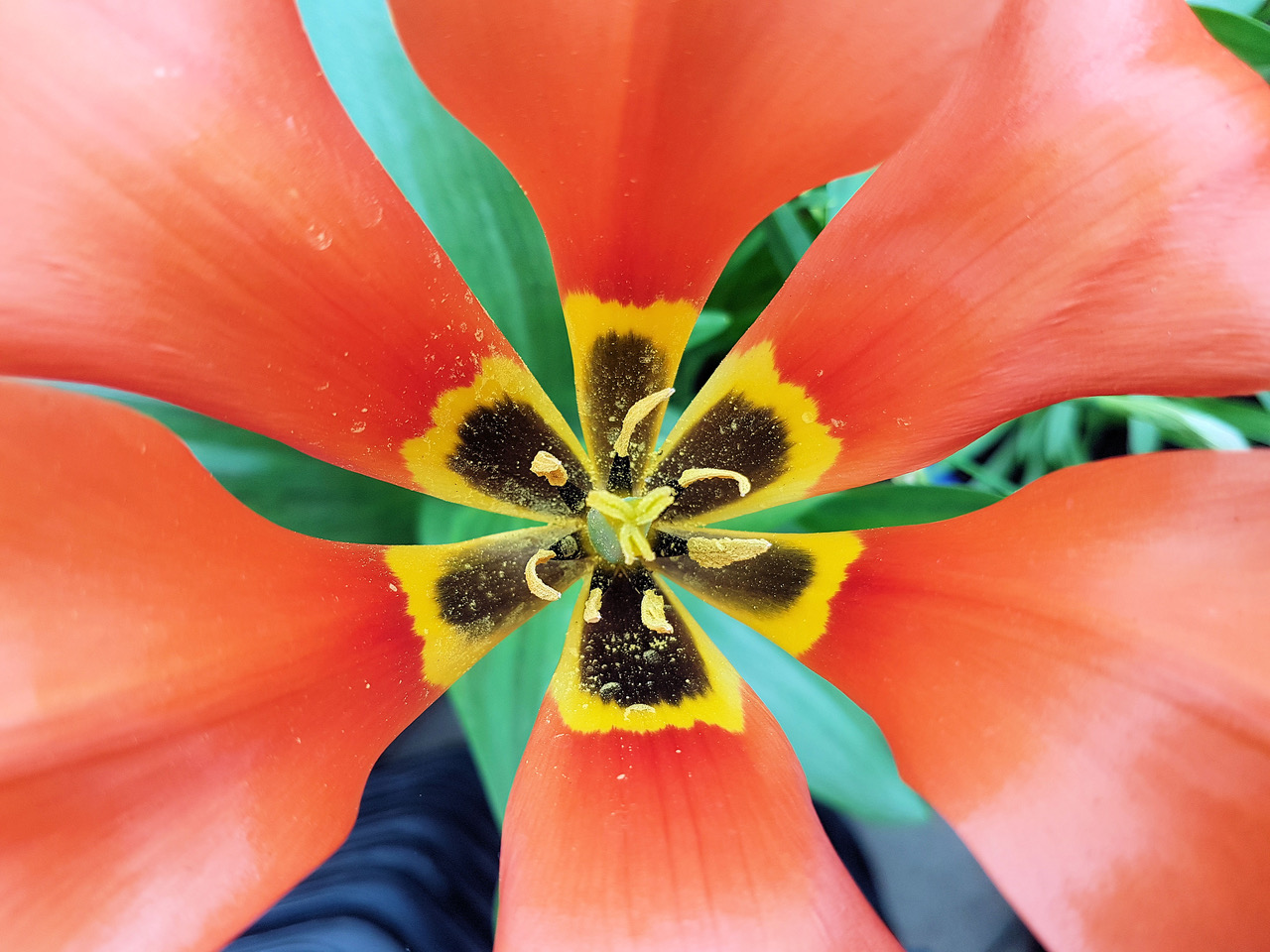 Fwd: Photo			
					</div><!-- .entry-content -->
		
		<footer>
		
		
		
					
					</footer><!-- .entry-meta -->
	</article><!-- #post -->
				
											
				
		
<hr class=