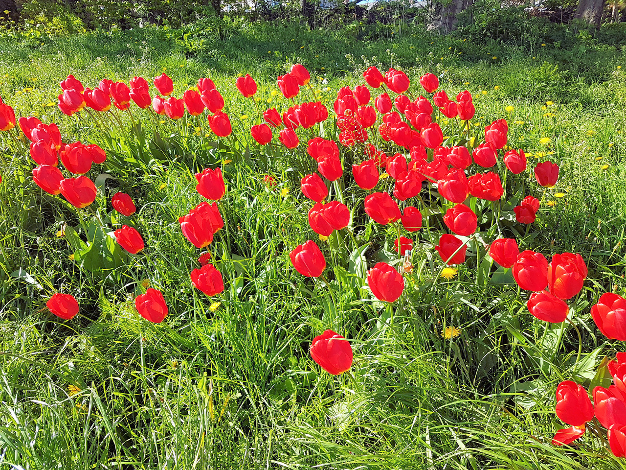 Fwd: Photo			
					</div><!-- .entry-content -->
		
		<footer>
		
		
		
					
					</footer><!-- .entry-meta -->
	</article><!-- #post -->
				
											
				
		
<hr class=