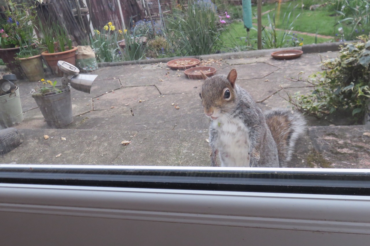 Fwd: photos			
					</div><!-- .entry-content -->
		
		<footer>
		
		
		
					
					</footer><!-- .entry-meta -->
	</article><!-- #post -->
				
											
				
		
<hr class=