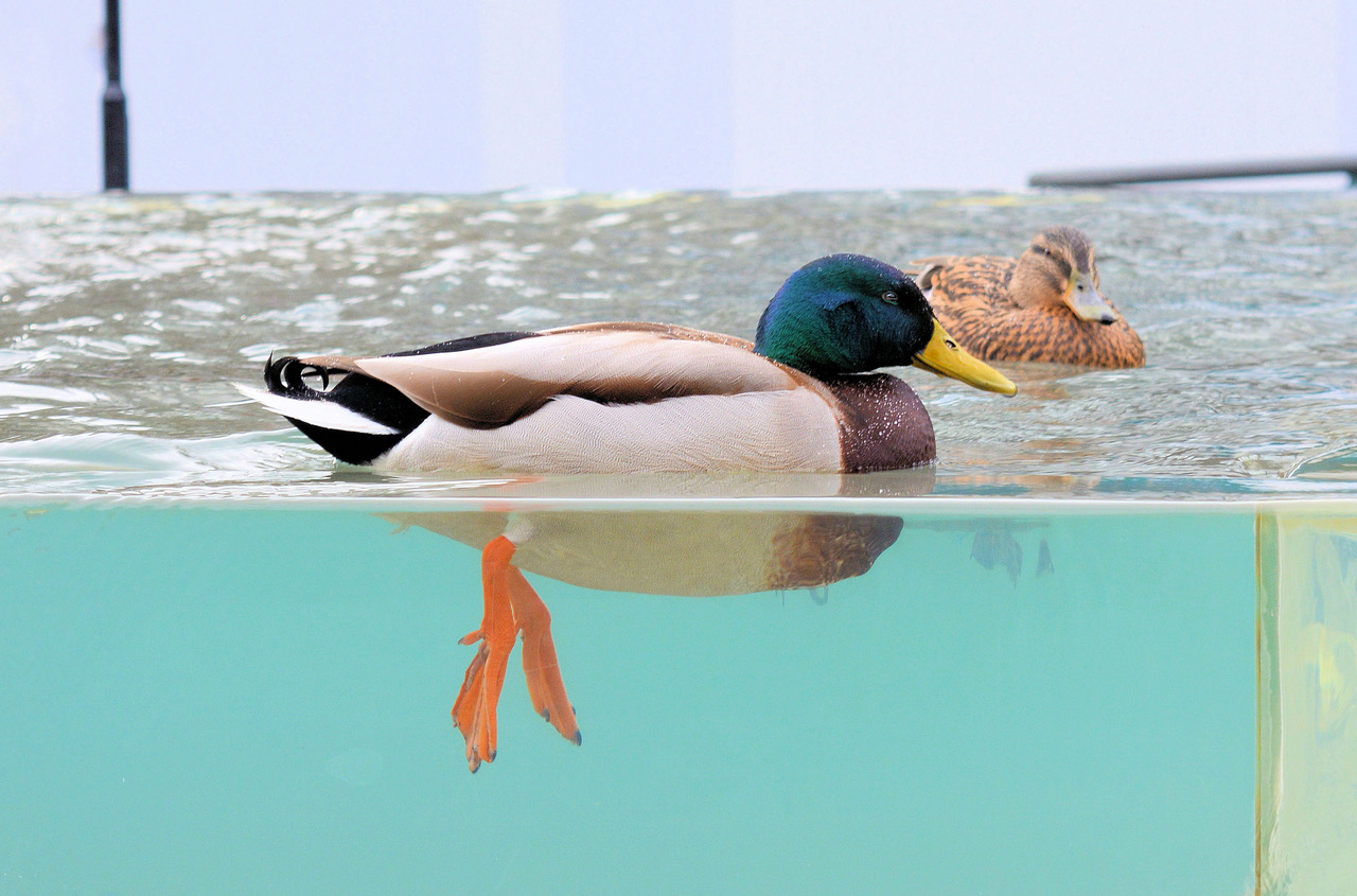 Fwd: Photo			
					</div><!-- .entry-content -->
		
		<footer>
		
		
		
					
					</footer><!-- .entry-meta -->
	</article><!-- #post -->
				
											
				
		
<hr class=