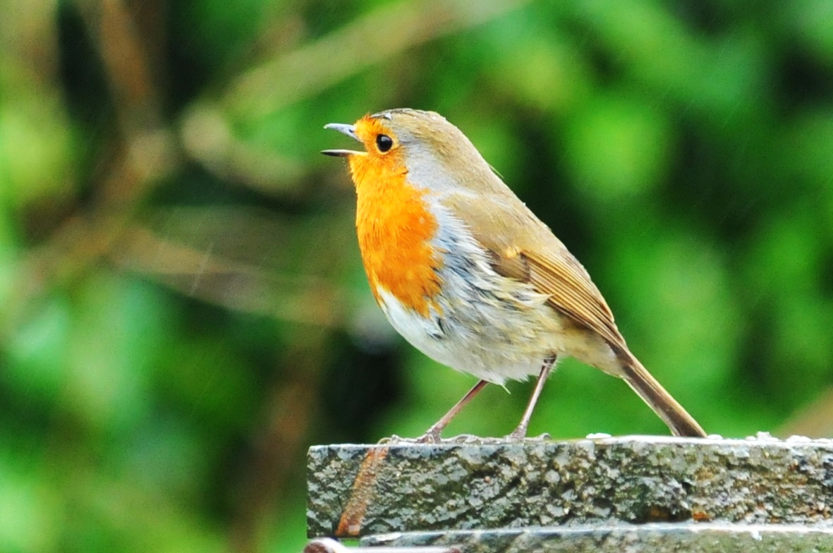 Fwd: and more….			
					</div><!-- .entry-content -->
		
		<footer>
		
		
		
					
					</footer><!-- .entry-meta -->
	</article><!-- #post -->
				
											
				
		
<hr class=