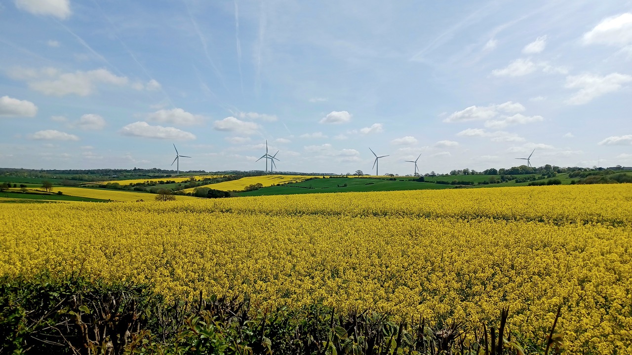 Fwd: By M Winter- Ulley			
					</div><!-- .entry-content -->
		
		<footer>
		
		
		
					
					</footer><!-- .entry-meta -->
	</article><!-- #post -->
				
											
				
		
<hr class=