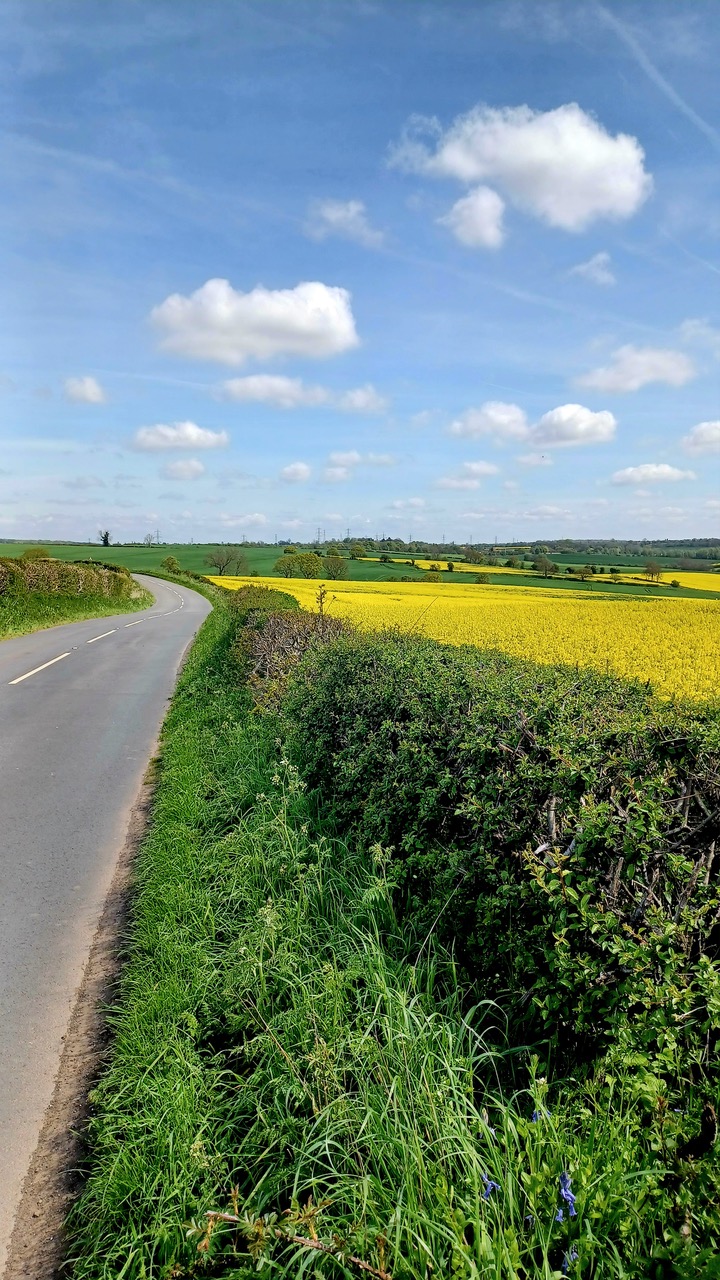 Fwd: By M Winter- Guithwaite Common Lane, Ulley			
					</div><!-- .entry-content -->
		
		<footer>
		
		
		
					
					</footer><!-- .entry-meta -->
	</article><!-- #post -->
				
											
				
		
<hr class=