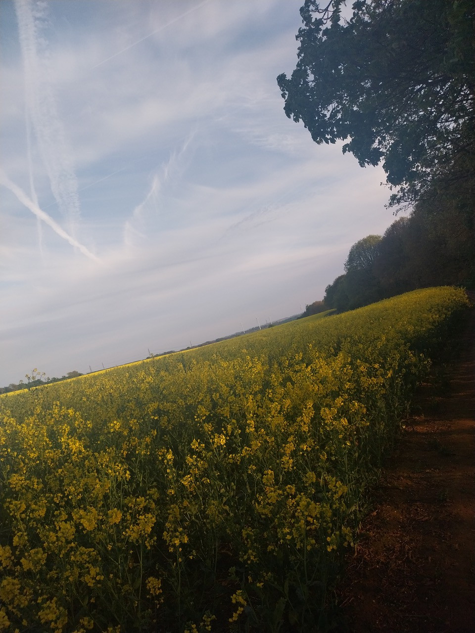 Fwd: But Faith B ( age: 11) Wickersley woods			
					</div><!-- .entry-content -->
		
		<footer>
		
		
		
					
					</footer><!-- .entry-meta -->
	</article><!-- #post -->
				
											
				
		
<hr class=