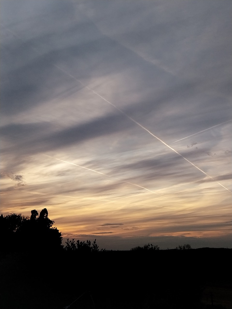 Fwd: By Faith B ( age: 11) at breaks			
					</div><!-- .entry-content -->
		
		<footer>
		
		
		
					
					</footer><!-- .entry-meta -->
	</article><!-- #post -->
				
											
				
		
<hr class=