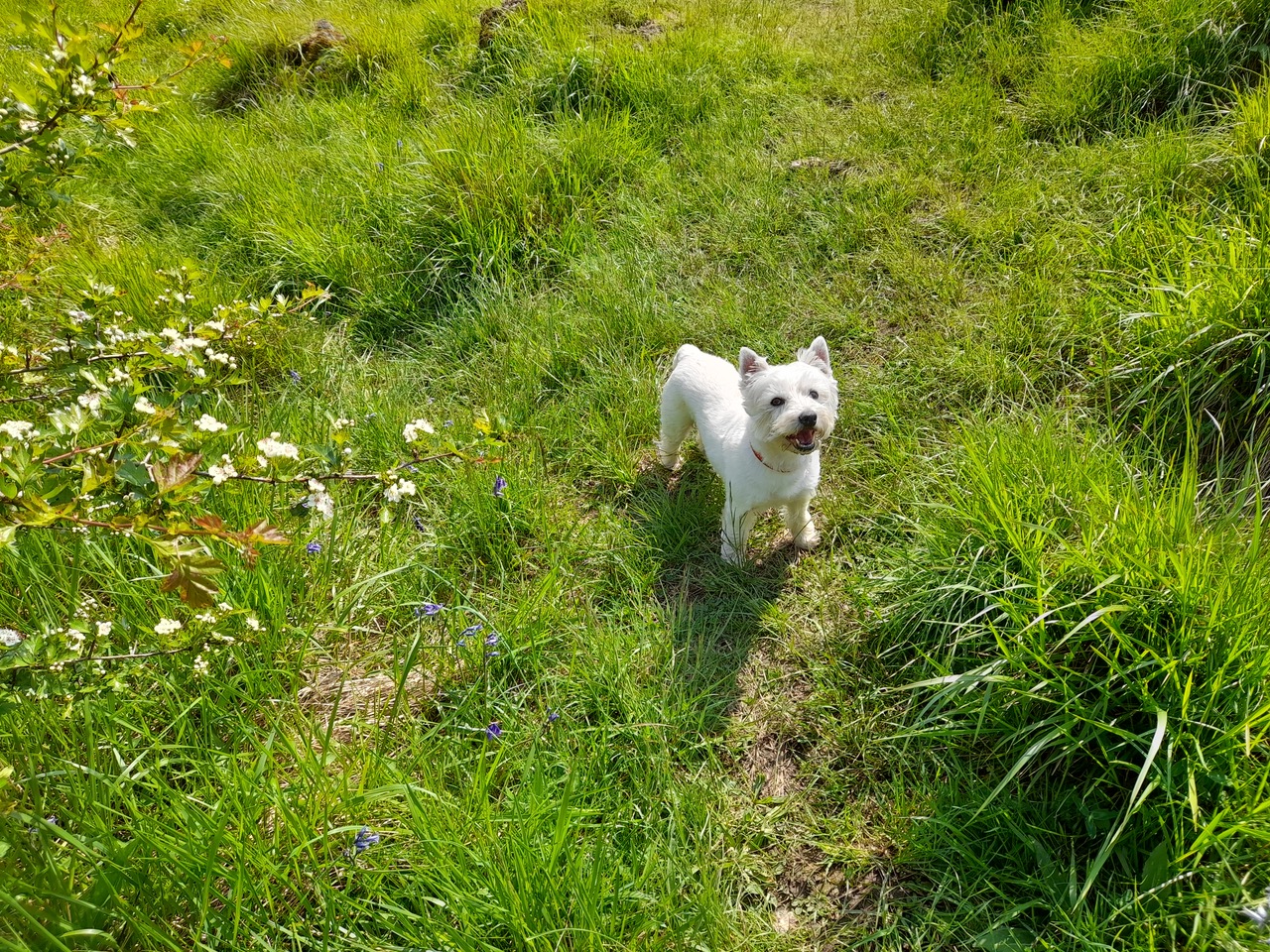 Fwd: Vincent, Anston Stones			
					</div><!-- .entry-content -->
		
		<footer>
		
		
		
					
					</footer><!-- .entry-meta -->
	</article><!-- #post -->
				
											
				
		
<hr class=