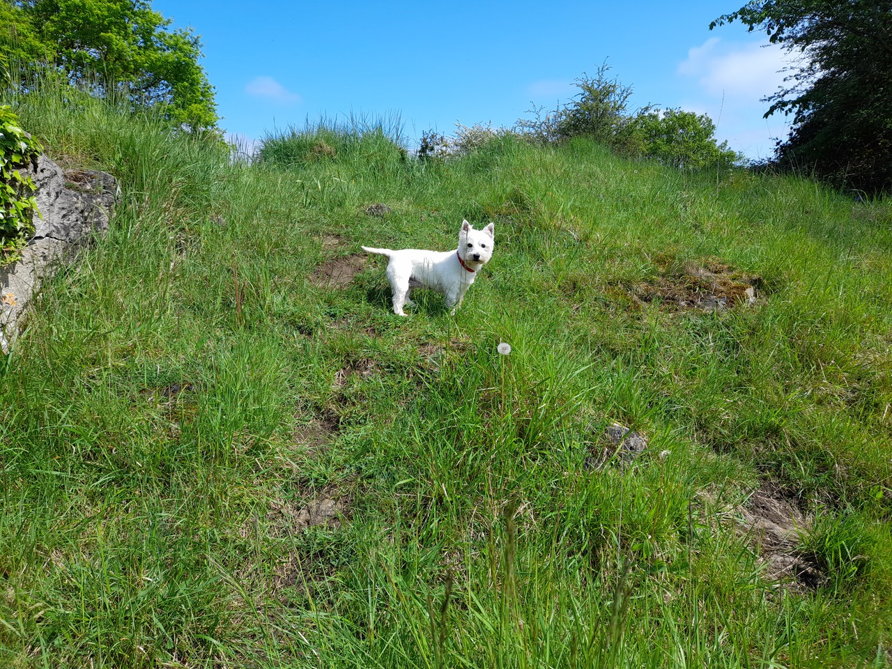 Fwd: Vincent, Anston Stones			
					</div><!-- .entry-content -->
		
		<footer>
		
		
		
					
					</footer><!-- .entry-meta -->
	</article><!-- #post -->
				
											
				
		
<hr class=