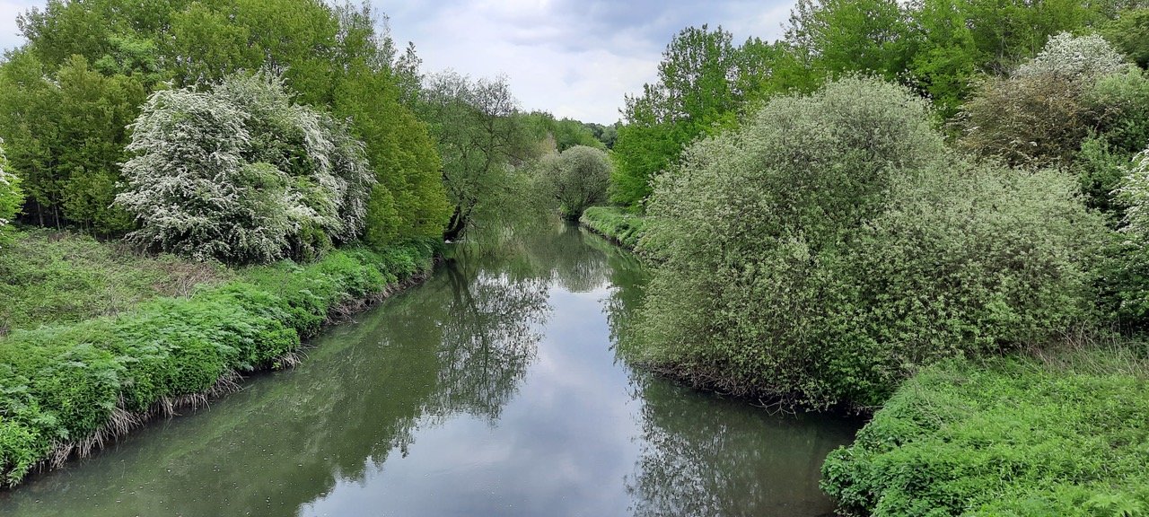 Fwd: Photo by maharg River Rother			
					</div><!-- .entry-content -->
		
		<footer>
		
		
		
					
					</footer><!-- .entry-meta -->
	</article><!-- #post -->
				
											
				
		
<hr class=