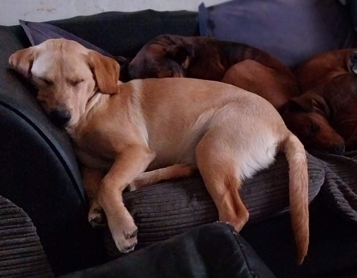 Fwd:			
					</div><!-- .entry-content -->
		
		<footer>
		
		
		
					
					</footer><!-- .entry-meta -->
	</article><!-- #post -->
				
											
				
		
<hr class=