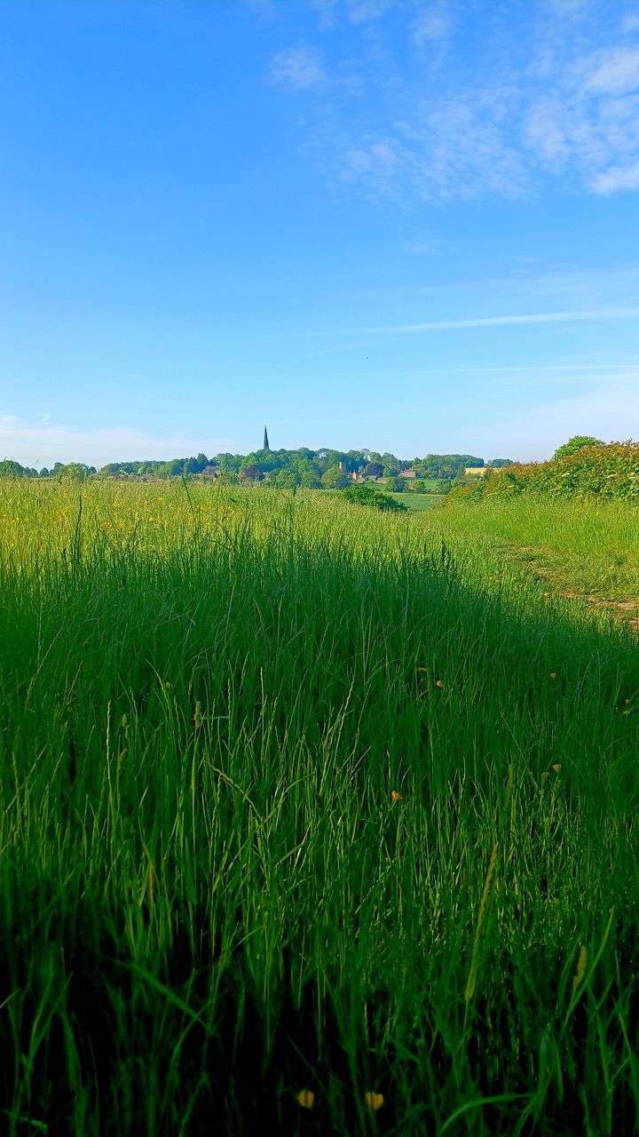 Fwd: By M Winter- Wentworth in the distance.			
					</div><!-- .entry-content -->
		
		<footer>
		
		
		
					
					</footer><!-- .entry-meta -->
	</article><!-- #post -->
				
											
				
		
<hr class=