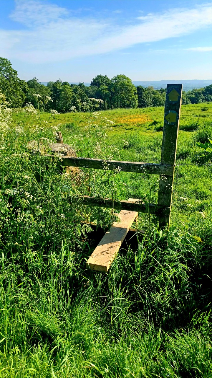 Fwd: Stile off Street Lane near Wentworth.			
					</div><!-- .entry-content -->
		
		<footer>
		
		
		
					
					</footer><!-- .entry-meta -->
	</article><!-- #post -->
				
											
				
		
<hr class=