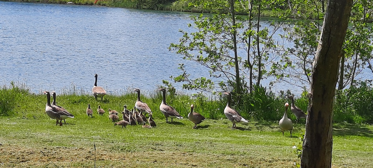 Fwd: Photo by maharg Rother Valley			
					</div><!-- .entry-content -->
		
		<footer>
		
		
		
					
					</footer><!-- .entry-meta -->
	</article><!-- #post -->
				
											
				
		
<hr class=