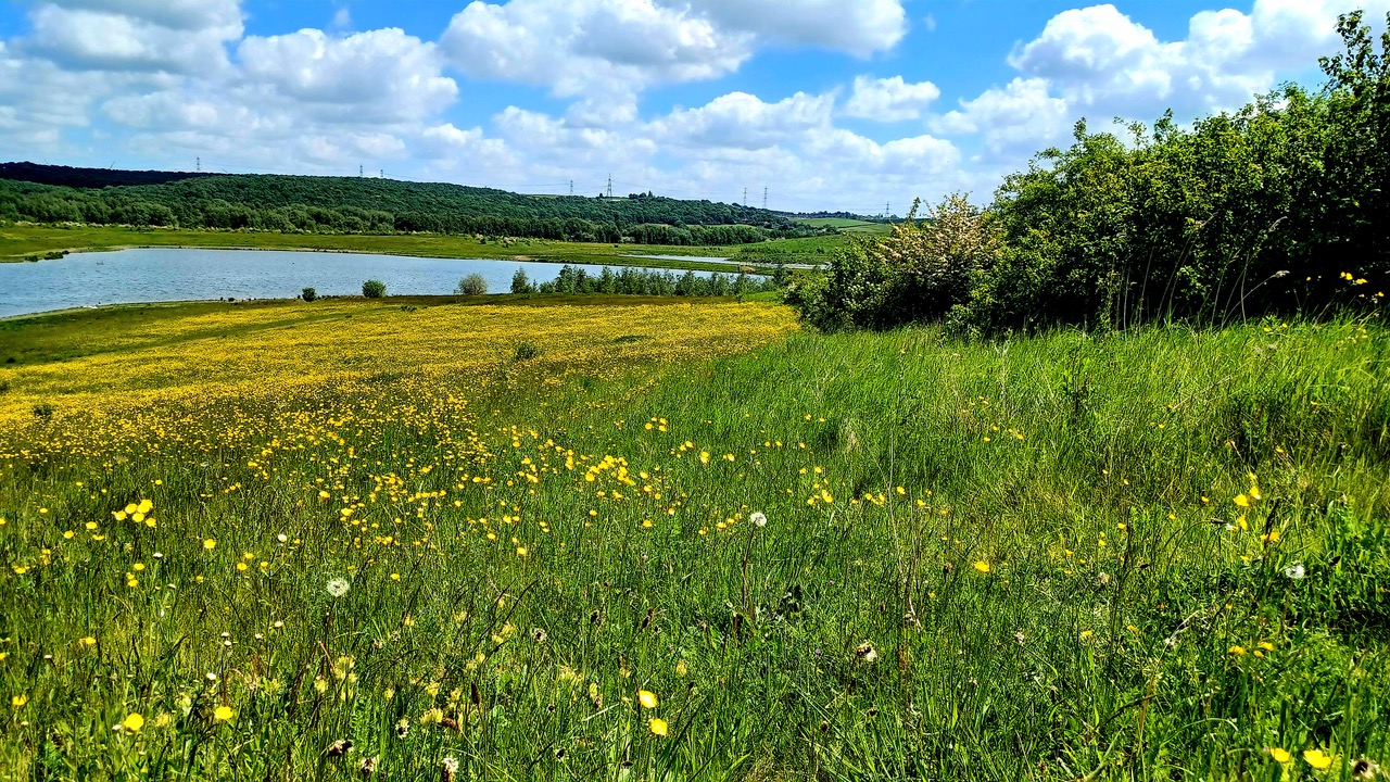 Fwd: By M Winter- Waverley nature reserve			
					</div><!-- .entry-content -->
		
		<footer>
		
		
		
					
					</footer><!-- .entry-meta -->
	</article><!-- #post -->
				
											
				
		
<hr class=