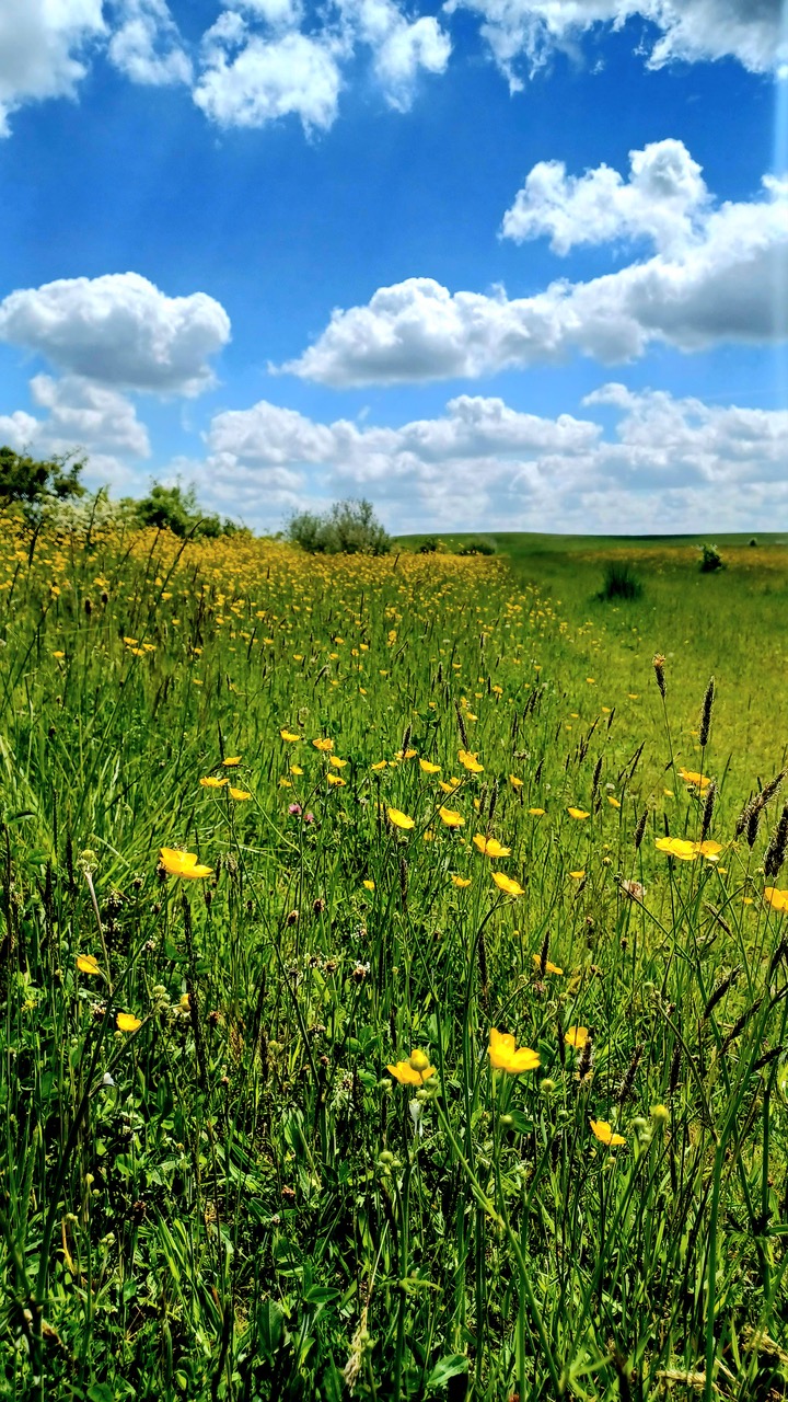 Fwd: By M Winter- Waverley Nature reserve.			
					</div><!-- .entry-content -->
		
		<footer>
		
		
		
					
					</footer><!-- .entry-meta -->
	</article><!-- #post -->
				
											
				
		
<hr class=