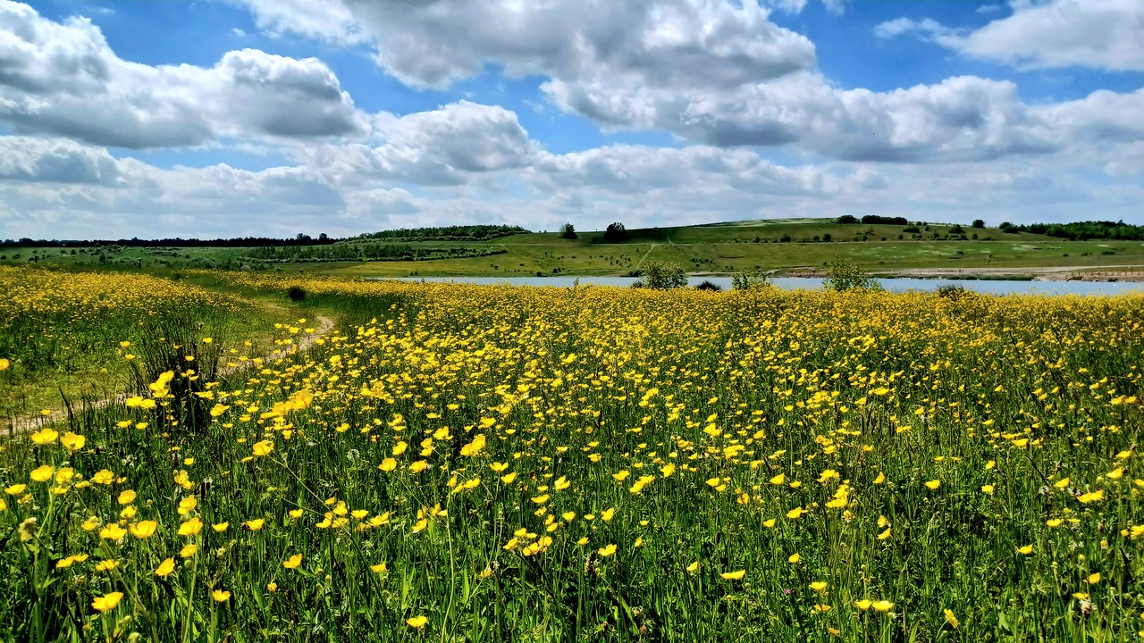 Fwd: By M Winter- Waverley lakes			
					</div><!-- .entry-content -->
		
		<footer>
		
		
		
					
					</footer><!-- .entry-meta -->
	</article><!-- #post -->
				
											
				
		
<hr class=