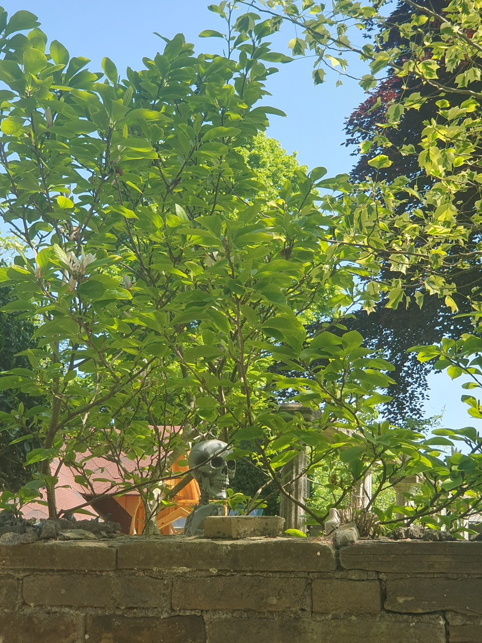 Fwd: Buntin Nook			
					</div><!-- .entry-content -->
		
		<footer>
		
		
		
					
					</footer><!-- .entry-meta -->
	</article><!-- #post -->
				
											
				
		
<hr class=