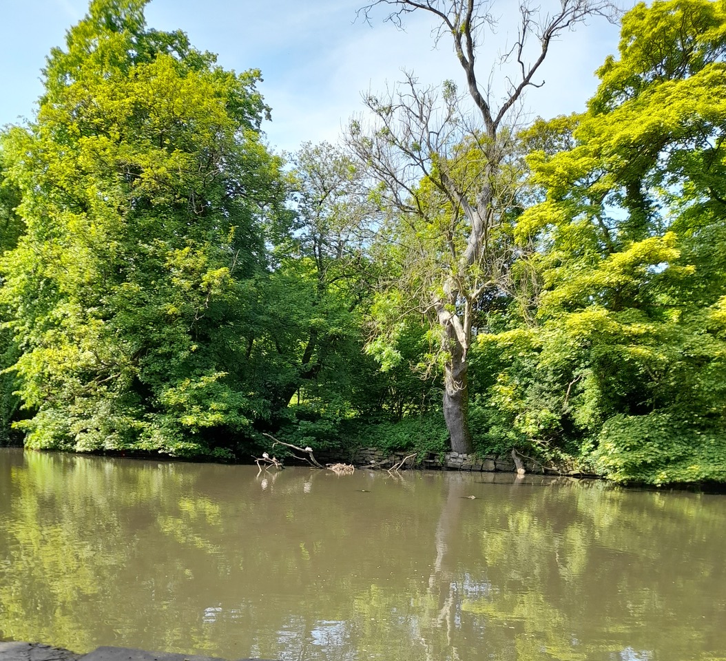 Fwd:			
					</div><!-- .entry-content -->
		
		<footer>
		
		
		
					
					</footer><!-- .entry-meta -->
	</article><!-- #post -->
				
											
				
		
<hr class=