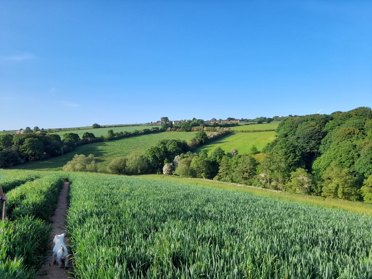 Fwd: Vincent, Ulley Village			
					</div><!-- .entry-content -->
		
		<footer>
		
		
		
					
					</footer><!-- .entry-meta -->
	</article><!-- #post -->
				
											
				
		
<hr class=