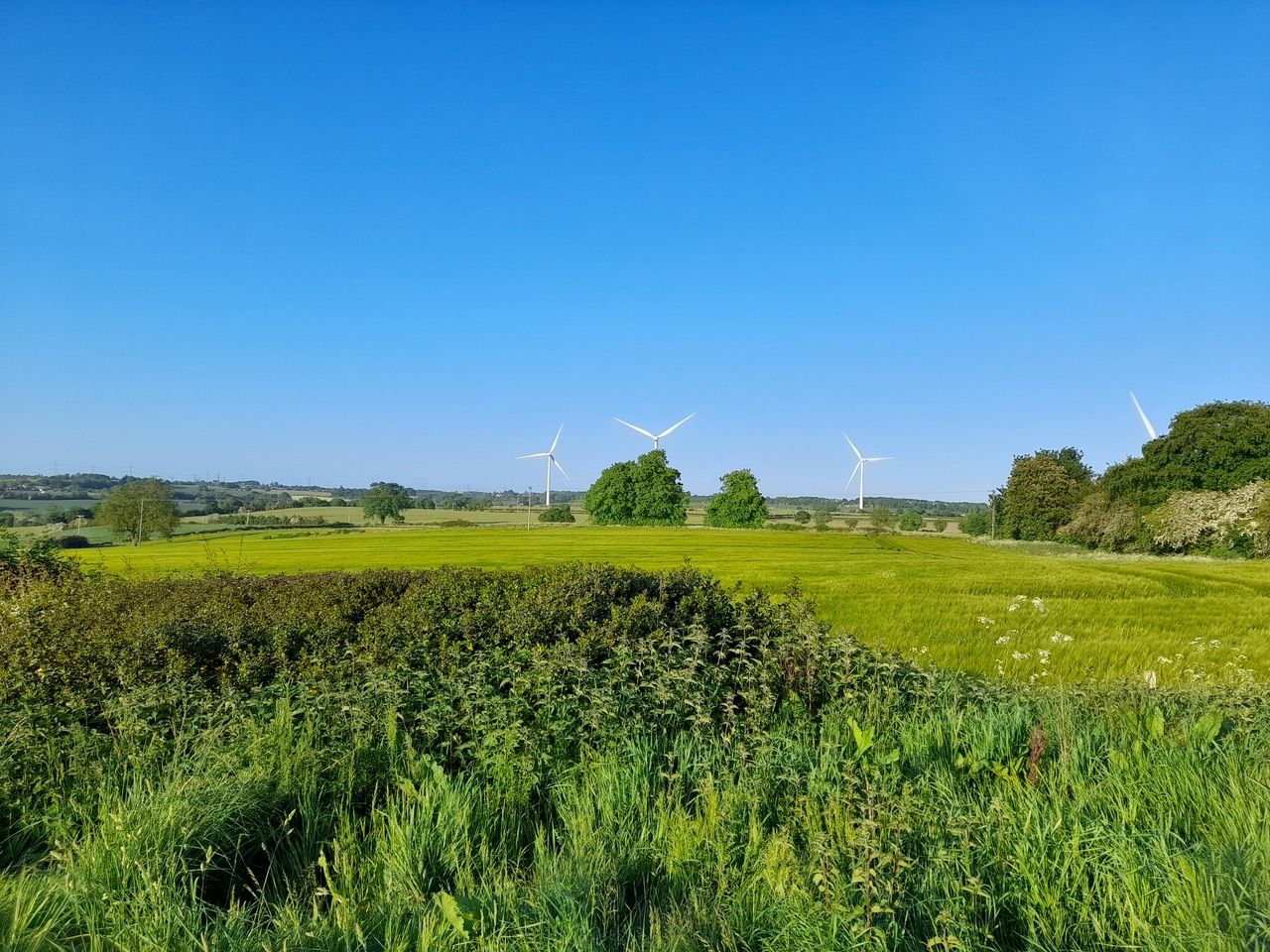 Fwd: Vincent, Penny Hill Wind Farm From Ulley			
					</div><!-- .entry-content -->
		
		<footer>
		
		
		
					
					</footer><!-- .entry-meta -->
	</article><!-- #post -->
				
											
				
		
<hr class=