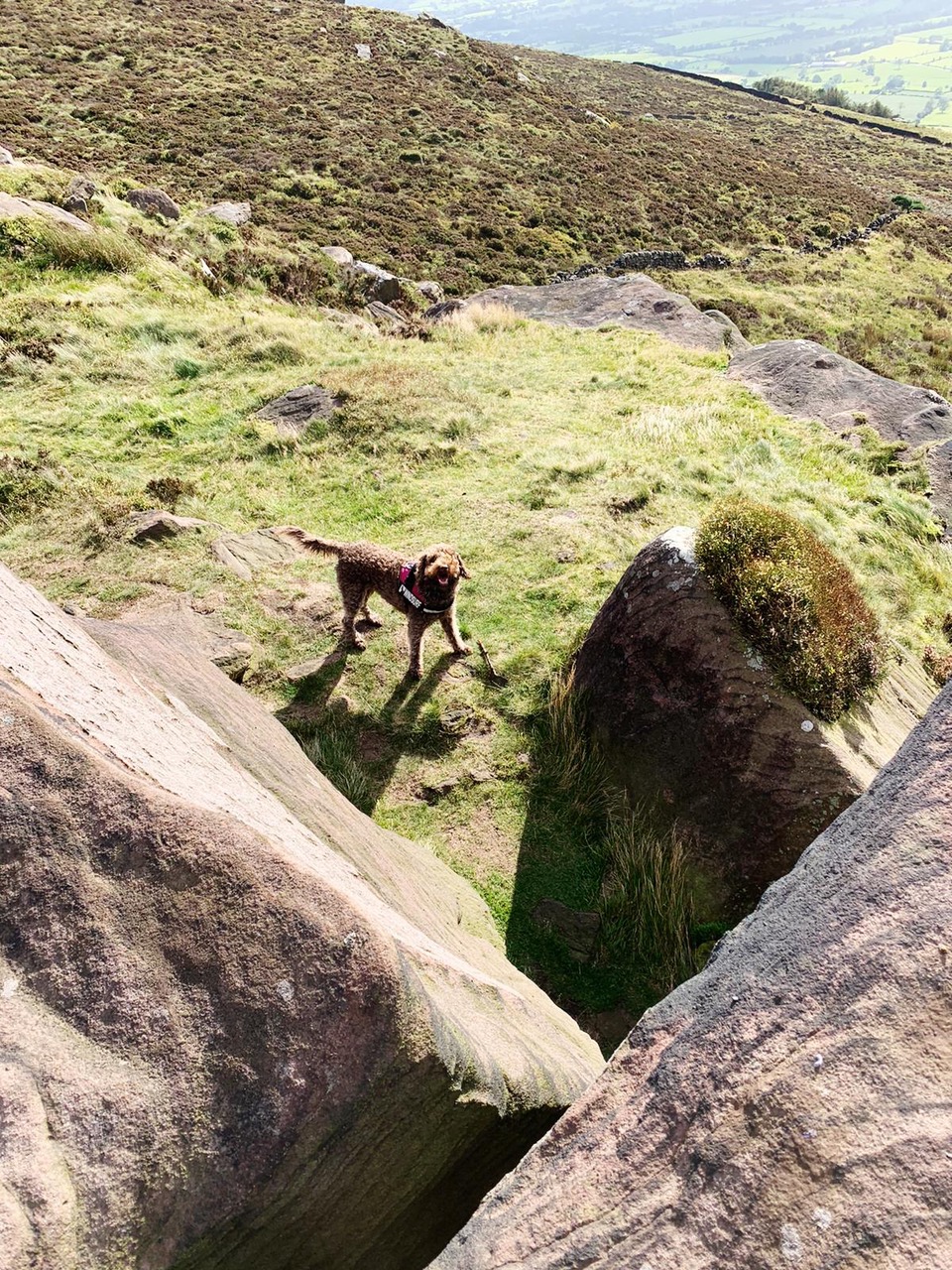 Fwd: Betty in Leek, Peak District			
					</div><!-- .entry-content -->
		
		<footer>
		
		
		
					
					</footer><!-- .entry-meta -->
	</article><!-- #post -->
				
											
				
		
<hr class=