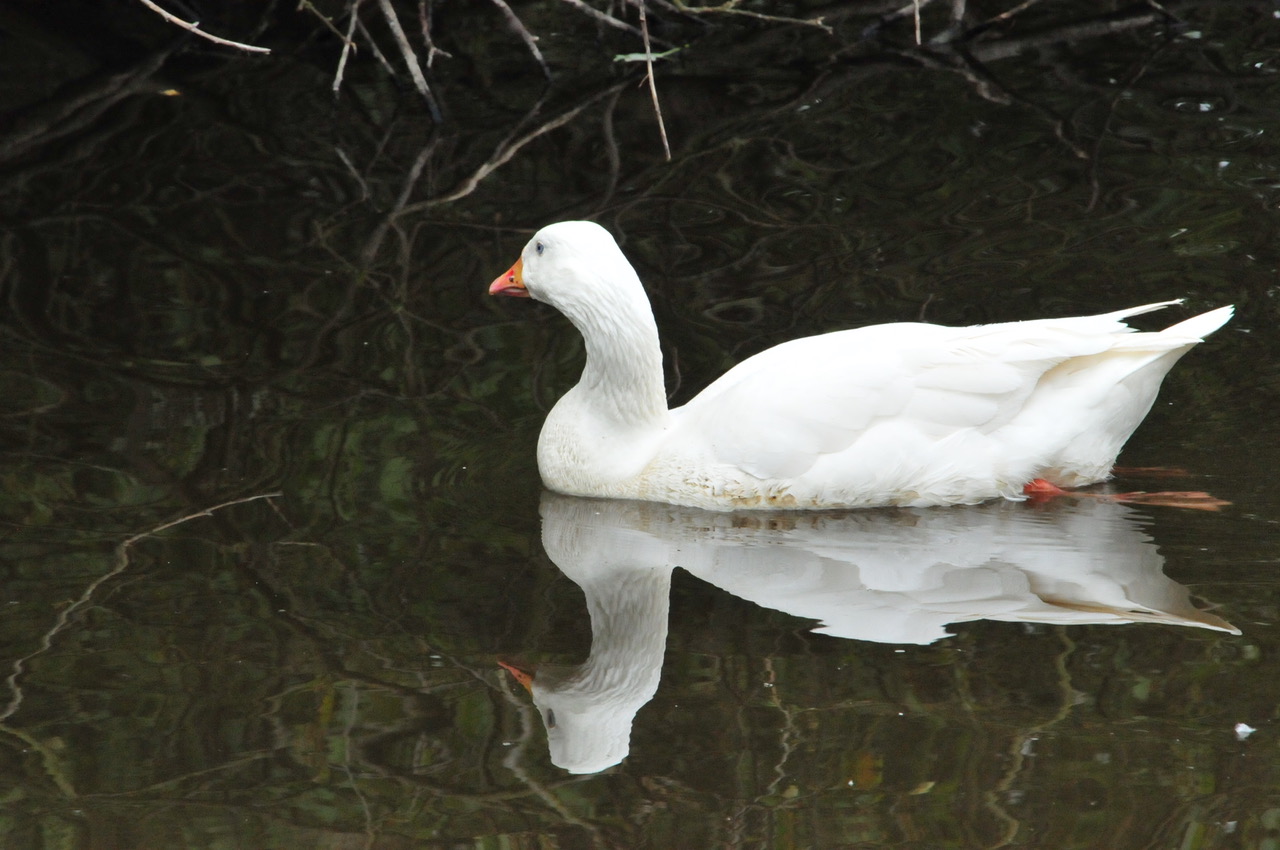 Fwd: Photo			
					</div><!-- .entry-content -->
		
		<footer>
		
		
		
					
					</footer><!-- .entry-meta -->
	</article><!-- #post -->
				
											
				
		
<hr class=