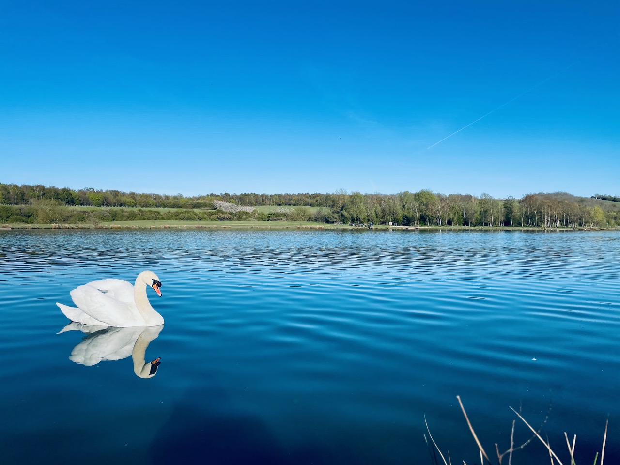 Fwd: Rother Valley			
					</div><!-- .entry-content -->
		
		<footer>
		
		
		
					
					</footer><!-- .entry-meta -->
	</article><!-- #post -->
				
											
				
		
<hr class=