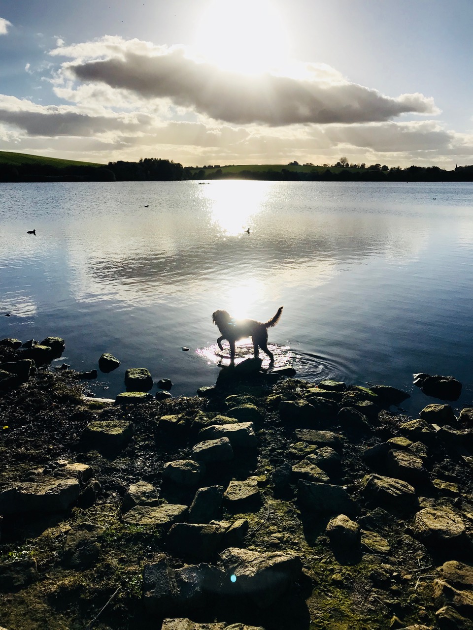 Fwd: Betty in Thrybergh			
					</div><!-- .entry-content -->
		
		<footer>
		
		
		
					
					</footer><!-- .entry-meta -->
	</article><!-- #post -->
				
											
				
		
<hr class=