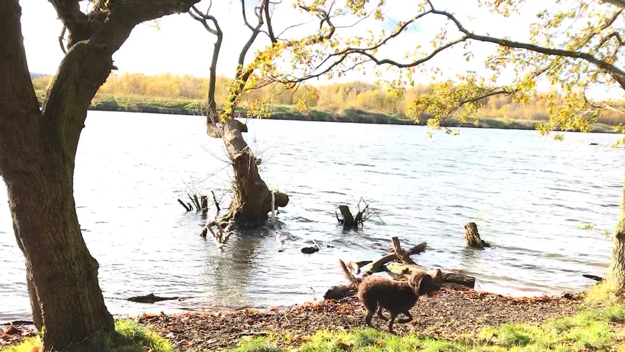 Fwd: Betty in Treeton			
					</div><!-- .entry-content -->
		
		<footer>
		
		
		
					
					</footer><!-- .entry-meta -->
	</article><!-- #post -->
				
											
				
		
<hr class=