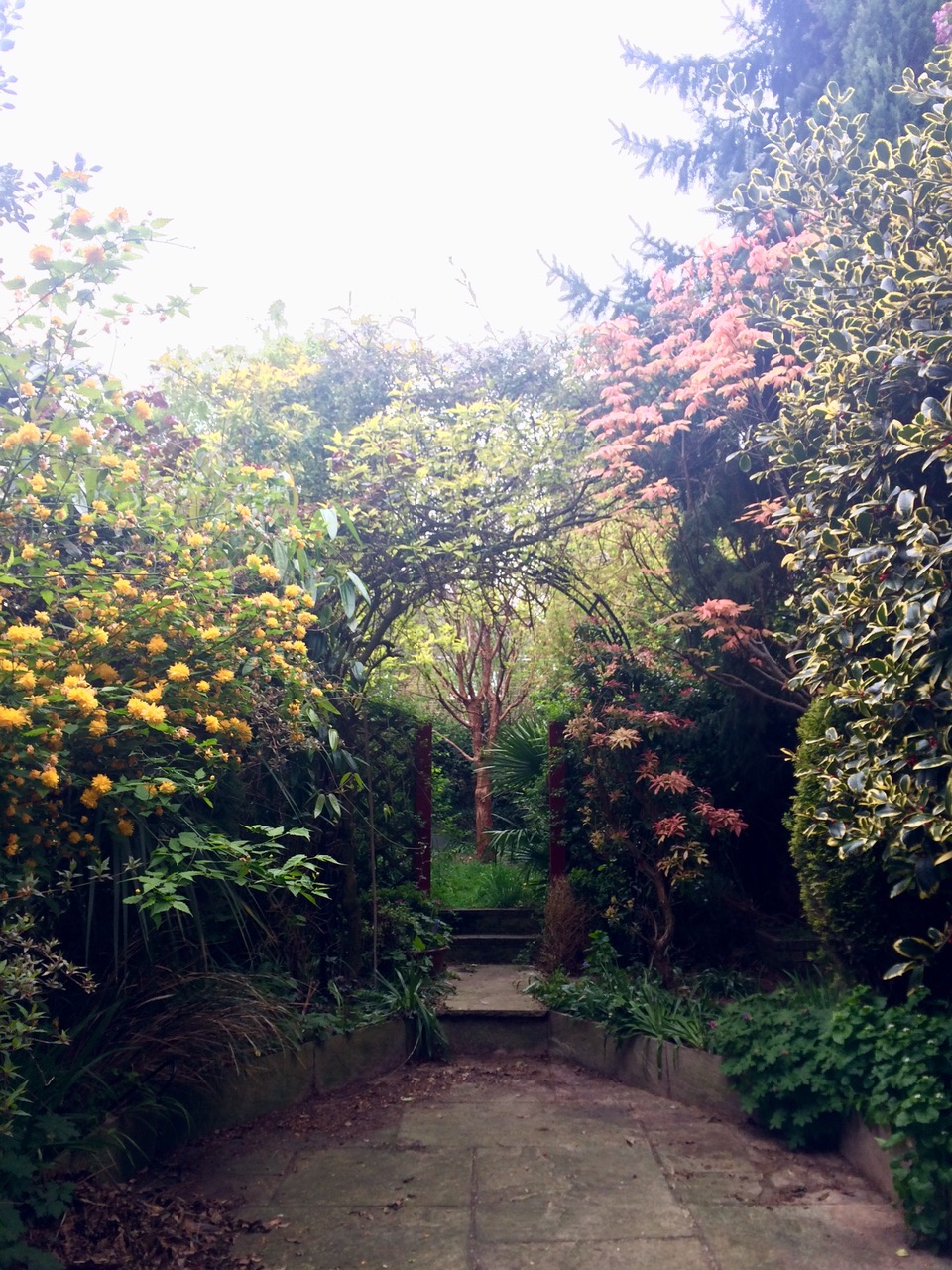 Fwd: Beighton			
					</div><!-- .entry-content -->
		
		<footer>
		
		
		
					
					</footer><!-- .entry-meta -->
	</article><!-- #post -->
				
											
				
		
<hr class=