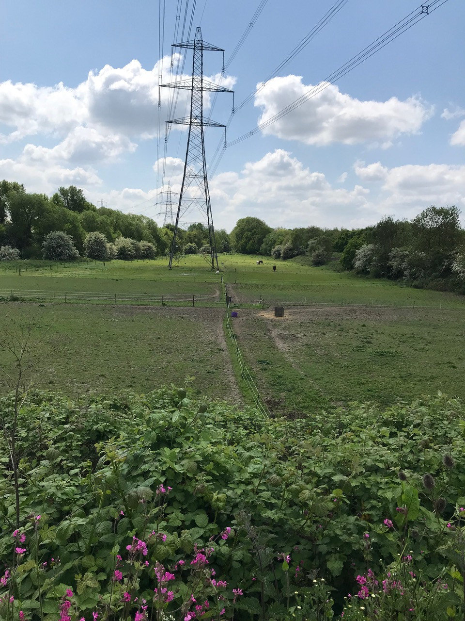 Fwd: Tv			
					</div><!-- .entry-content -->
		
		<footer>
		
		
		
					
					</footer><!-- .entry-meta -->
	</article><!-- #post -->
				
											
				
		
<hr class=