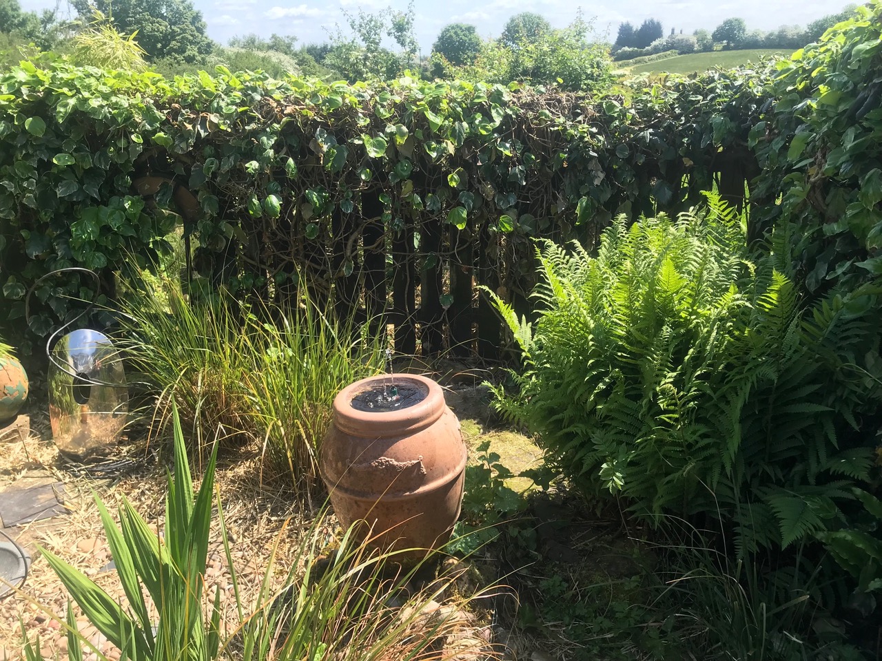 Fwd: Charnock			
					</div><!-- .entry-content -->
		
		<footer>
		
		
		
					
					</footer><!-- .entry-meta -->
	</article><!-- #post -->
				
											
				
		
<hr class=