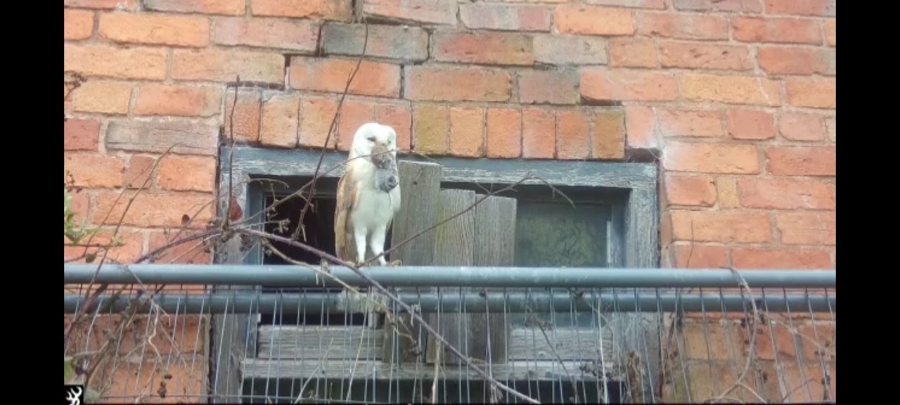 Fwd: Photo by Heather ollie owl at clumber			
					</div><!-- .entry-content -->
		
		<footer>
		
		
		
					
					</footer><!-- .entry-meta -->
	</article><!-- #post -->
				
											
				
		
<hr class=