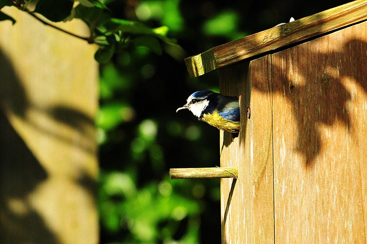 Fwd: Roland the Geordie Blue tit			
					</div><!-- .entry-content -->
		
		<footer>
		
		
		
					
					</footer><!-- .entry-meta -->
	</article><!-- #post -->
				
											
				
		
<hr class=